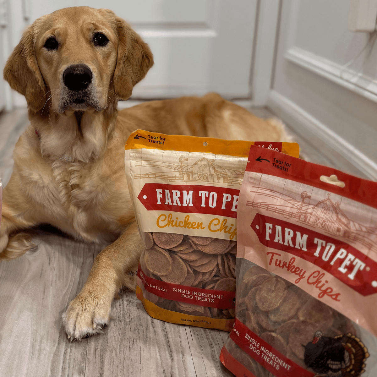 Turkey & Chicken Chip Dog Treat Duo | Single-Ingredient Poultry Treats for Dogs